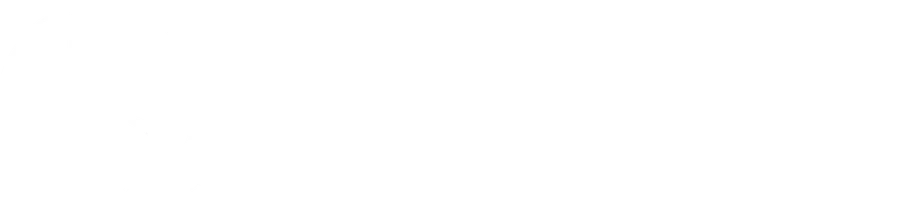 Lucas Queiroz · Cirurgia Plástica